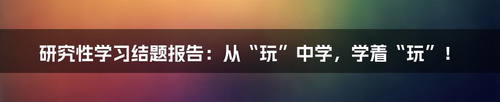 研究性学习结题报告：从“玩”中学，学着“玩”！