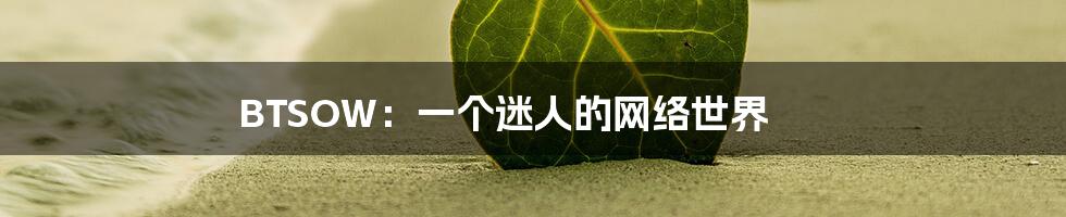 BTSOW：一个迷人的网络世界