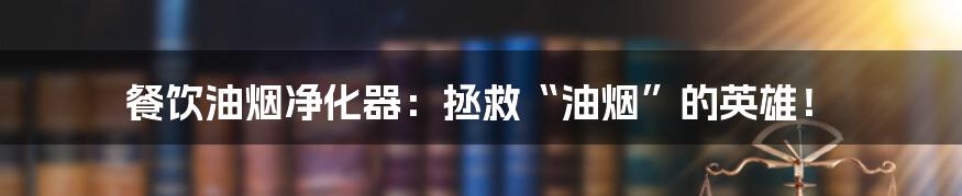 餐饮油烟净化器：拯救“油烟”的英雄！