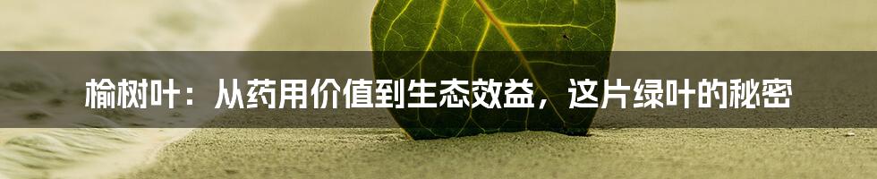 榆树叶：从药用价值到生态效益，这片绿叶的秘密