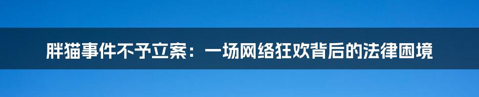 胖猫事件不予立案：一场网络狂欢背后的法律困境