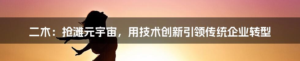 二木：抢滩元宇宙，用技术创新引领传统企业转型