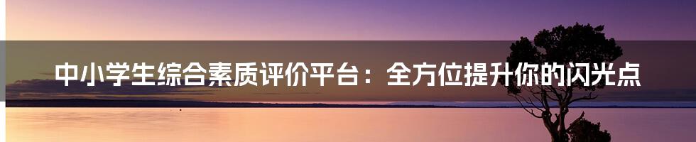 中小学生综合素质评价平台：全方位提升你的闪光点