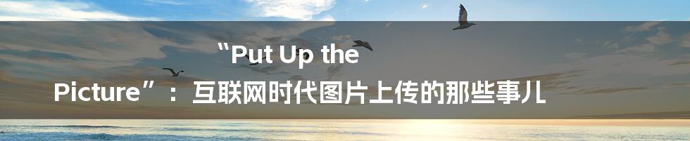 “Put Up the Picture”：互联网时代图片上传的那些事儿