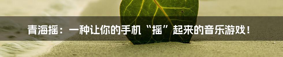 青海摇：一种让你的手机“摇”起来的音乐游戏！