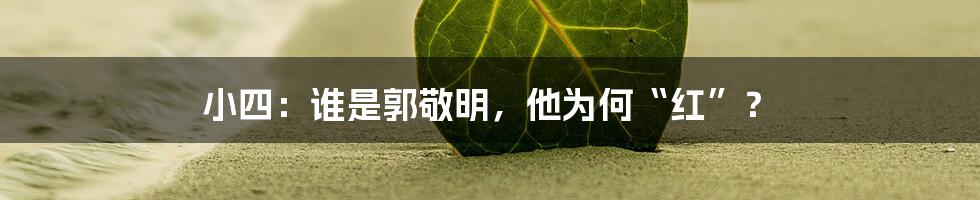 小四：谁是郭敬明，他为何“红”？