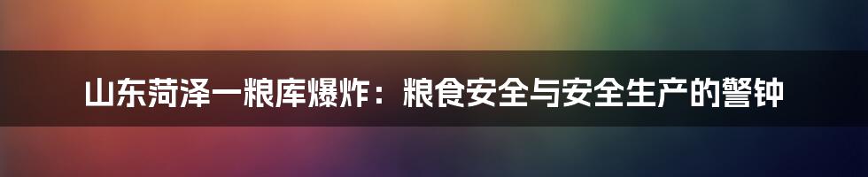 山东菏泽一粮库爆炸：粮食安全与安全生产的警钟