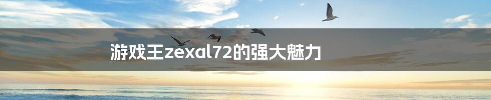 游戏王zexal72的强大魅力