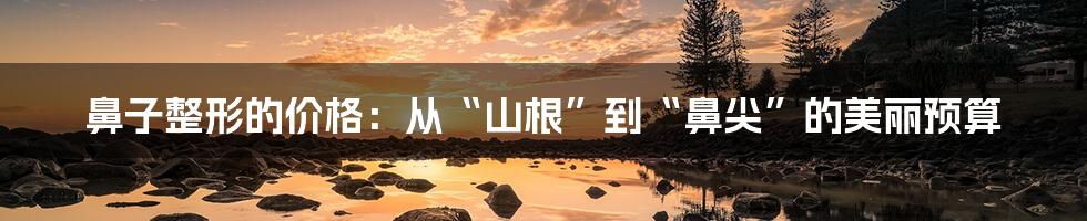 鼻子整形的价格：从“山根”到“鼻尖”的美丽预算