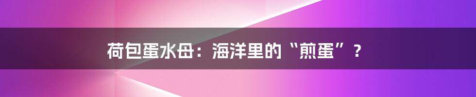 荷包蛋水母：海洋里的“煎蛋”？