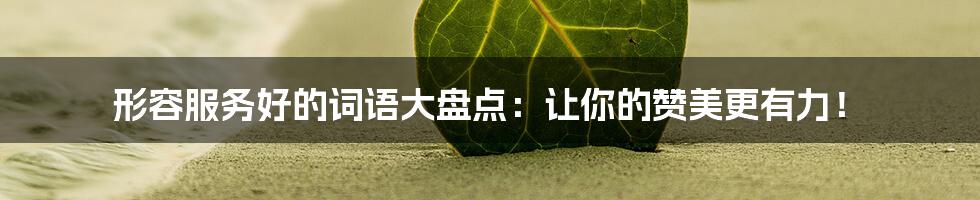 形容服务好的词语大盘点：让你的赞美更有力！