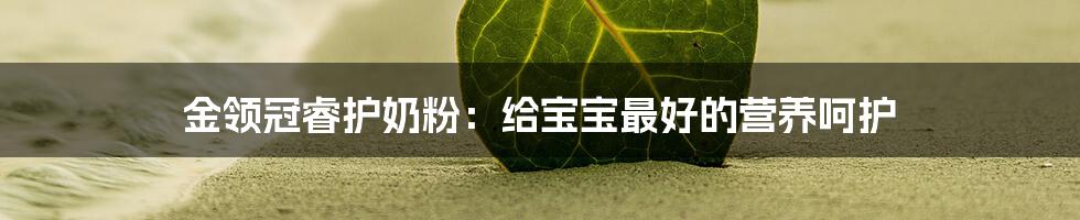 金领冠睿护奶粉：给宝宝最好的营养呵护