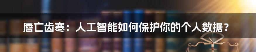 唇亡齿寒：人工智能如何保护你的个人数据？