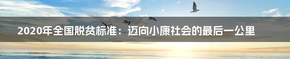 2020年全国脱贫标准：迈向小康社会的最后一公里