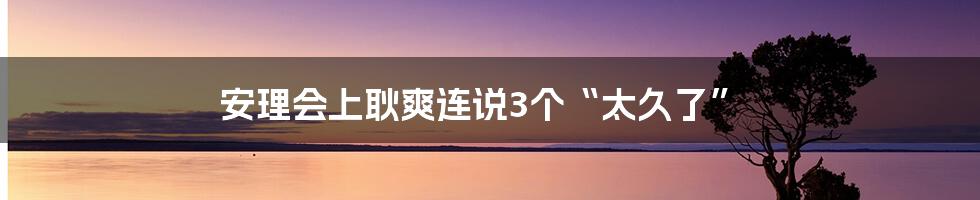 安理会上耿爽连说3个“太久了”