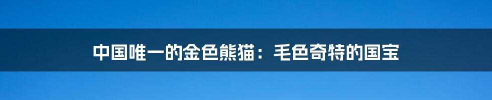 中国唯一的金色熊猫：毛色奇特的国宝