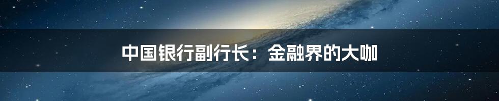 中国银行副行长：金融界的大咖