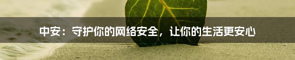 中安：守护你的网络安全，让你的生活更安心