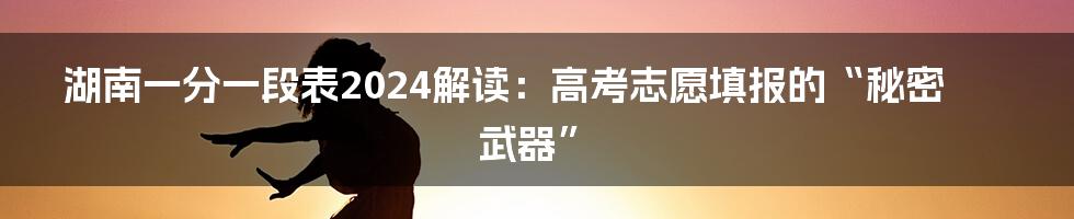 湖南一分一段表2024解读：高考志愿填报的“秘密武器”