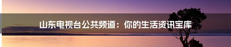 山东电视台公共频道：你的生活资讯宝库