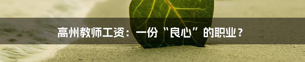 高州教师工资：一份“良心”的职业？