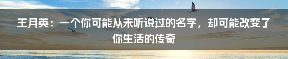 王月英：一个你可能从未听说过的名字，却可能改变了你生活的传奇