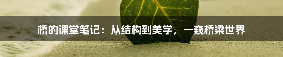 桥的课堂笔记：从结构到美学，一窥桥梁世界