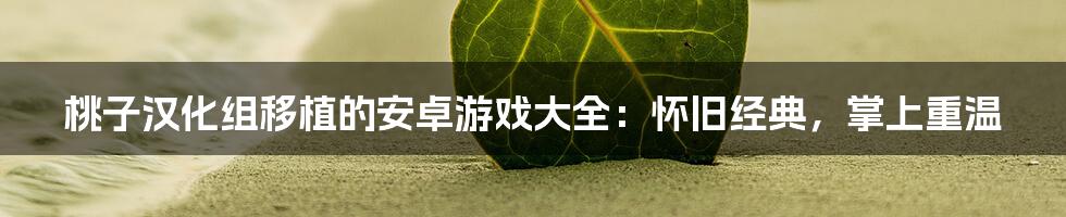 桃子汉化组移植的安卓游戏大全：怀旧经典，掌上重温