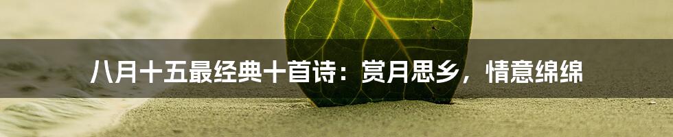 八月十五最经典十首诗：赏月思乡，情意绵绵