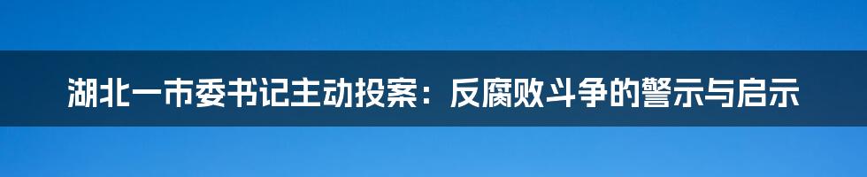 湖北一市委书记主动投案：反腐败斗争的警示与启示