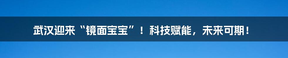 武汉迎来“镜面宝宝”！科技赋能，未来可期！