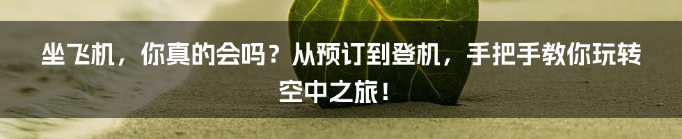 坐飞机，你真的会吗？从预订到登机，手把手教你玩转空中之旅！