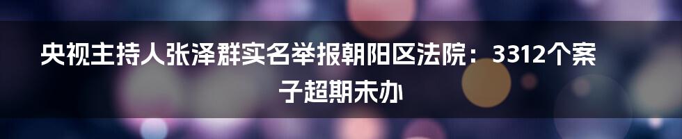 央视主持人张泽群实名举报朝阳区法院：3312个案子超期未办