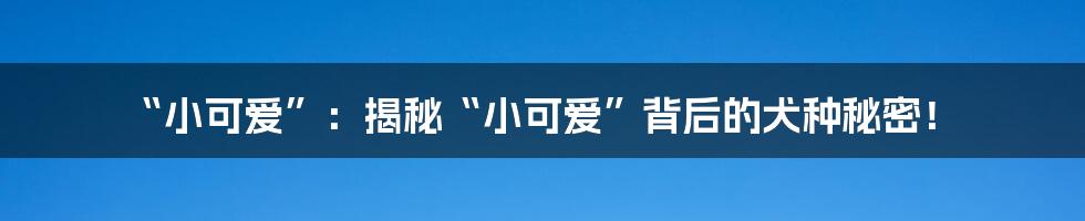 “小可爱”：揭秘“小可爱”背后的犬种秘密！