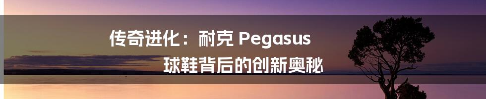 传奇进化：耐克 Pegasus 球鞋背后的创新奥秘