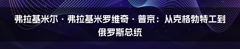 弗拉基米尔·弗拉基米罗维奇·普京：从克格勃特工到俄罗斯总统