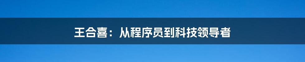 王合喜：从程序员到科技领导者