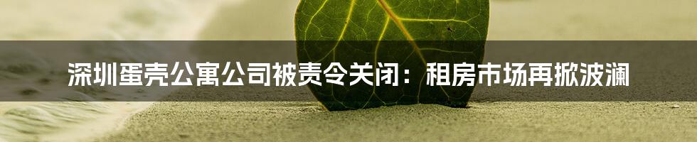 深圳蛋壳公寓公司被责令关闭：租房市场再掀波澜