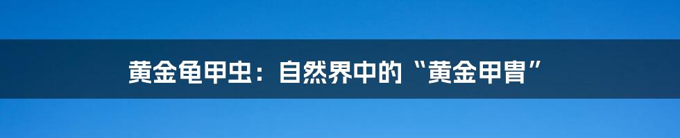 黄金龟甲虫：自然界中的“黄金甲胄”