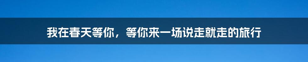 我在春天等你，等你来一场说走就走的旅行