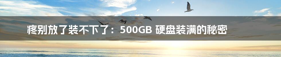 疼别放了装不下了：500GB 硬盘装满的秘密