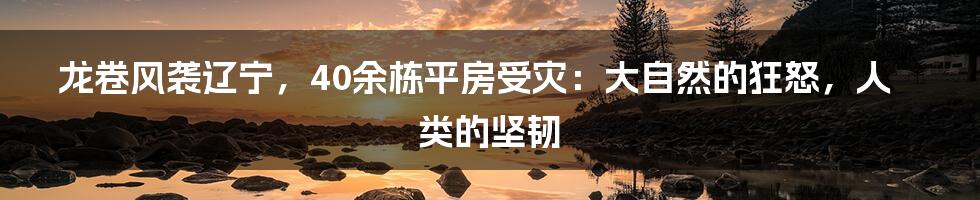 龙卷风袭辽宁，40余栋平房受灾：大自然的狂怒，人类的坚韧