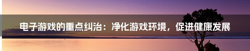 电子游戏的重点纠治：净化游戏环境，促进健康发展