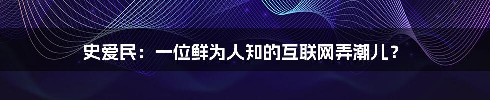 史爱民：一位鲜为人知的互联网弄潮儿？