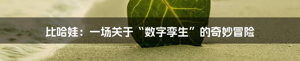 比哈娃：一场关于“数字孪生”的奇妙冒险