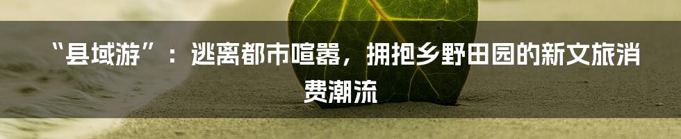 “县域游”：逃离都市喧嚣，拥抱乡野田园的新文旅消费潮流