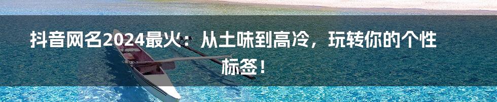 抖音网名2024最火：从土味到高冷，玩转你的个性标签！