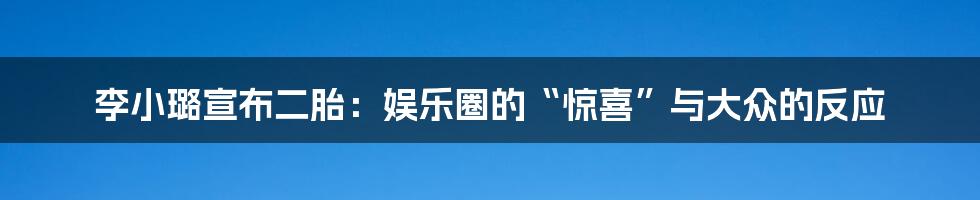 李小璐宣布二胎：娱乐圈的“惊喜”与大众的反应