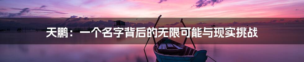 天鹏：一个名字背后的无限可能与现实挑战