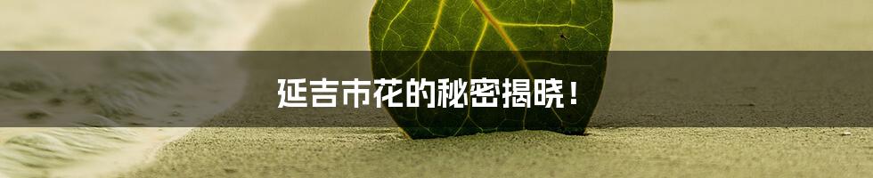 延吉市花的秘密揭晓！